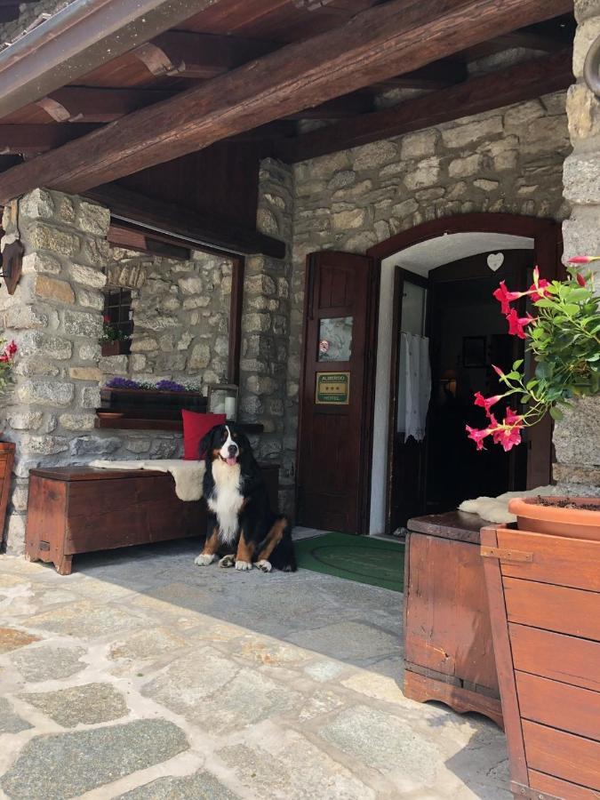 Hotel La Grange - Animal Chic Hotel Κουρμαγιέρ Εξωτερικό φωτογραφία