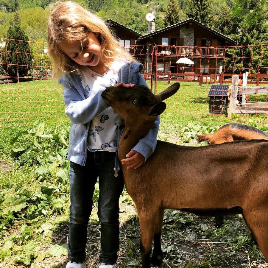 Hotel La Grange - Animal Chic Hotel Κουρμαγιέρ Εξωτερικό φωτογραφία