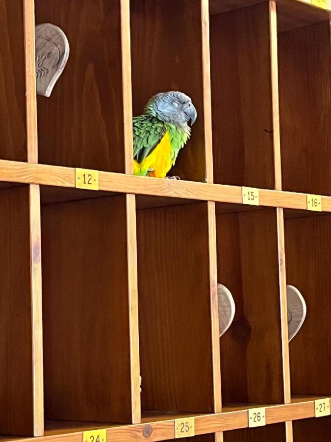 Hotel La Grange - Animal Chic Hotel Κουρμαγιέρ Εξωτερικό φωτογραφία